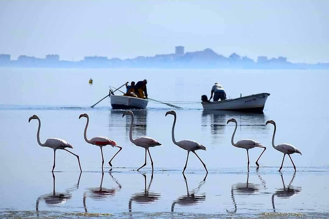 Hotel Alaska San Pedro del Pinatar Dış mekan fotoğraf